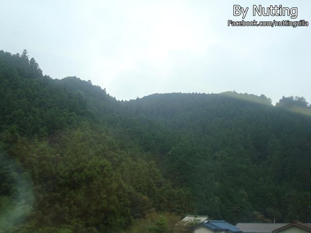 DSC03807.JPG